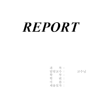 레포트표지 (12) 레포트표지 (12)